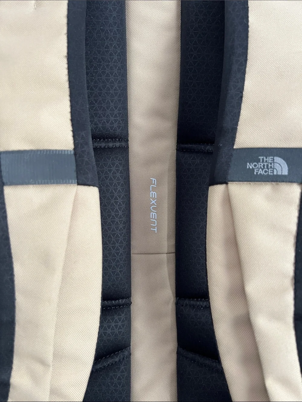The North Face Jester Backpack in Beige with Olive Bungee